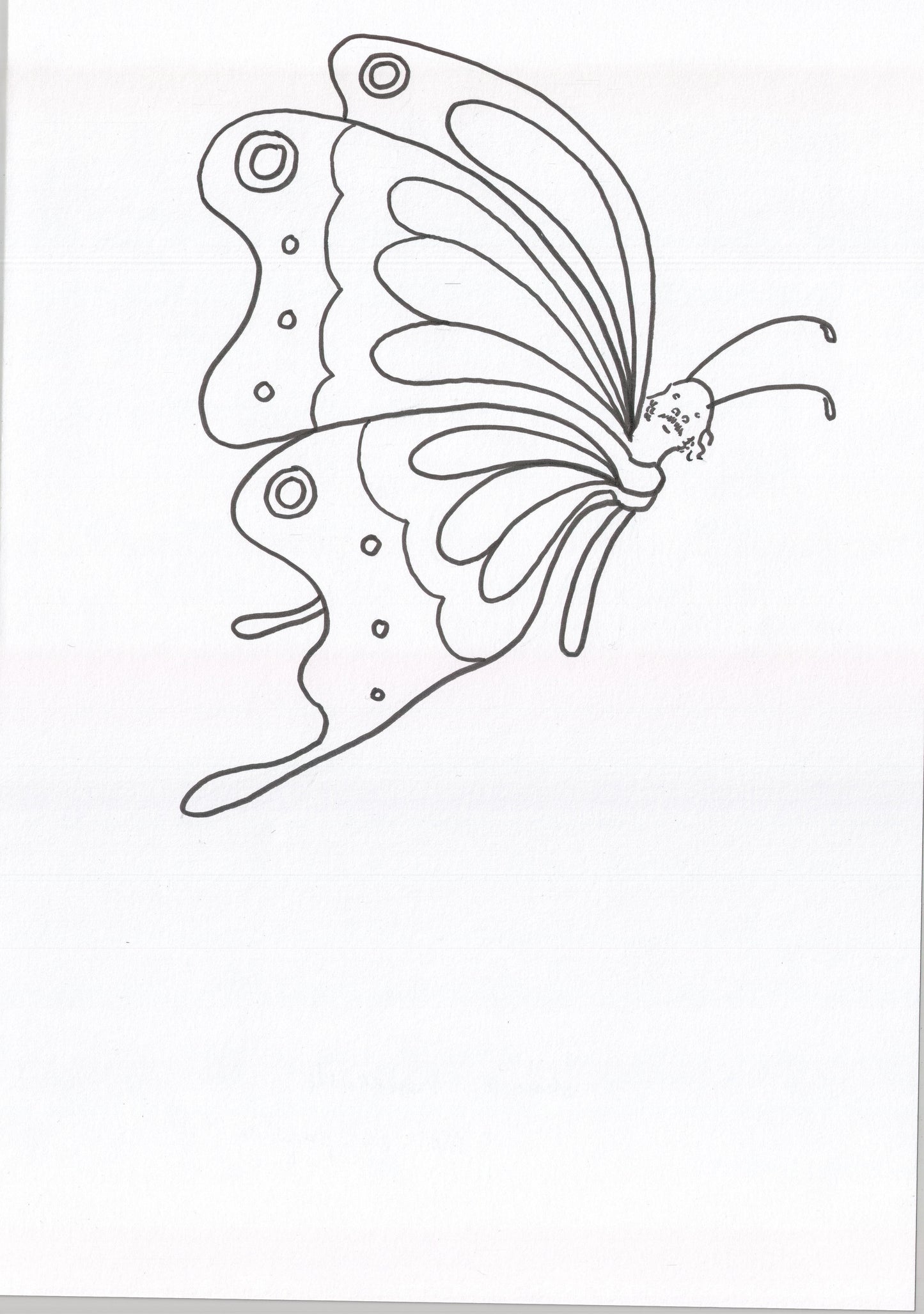 Moi en papillon, dessin encadré 29,7 x 42cm