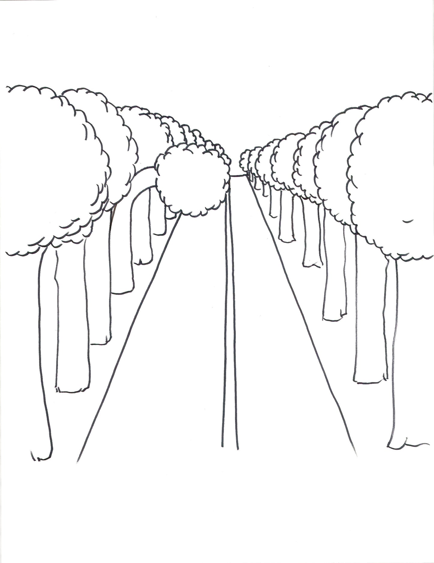 Penché 1, dessin encadré 65 x 50cm