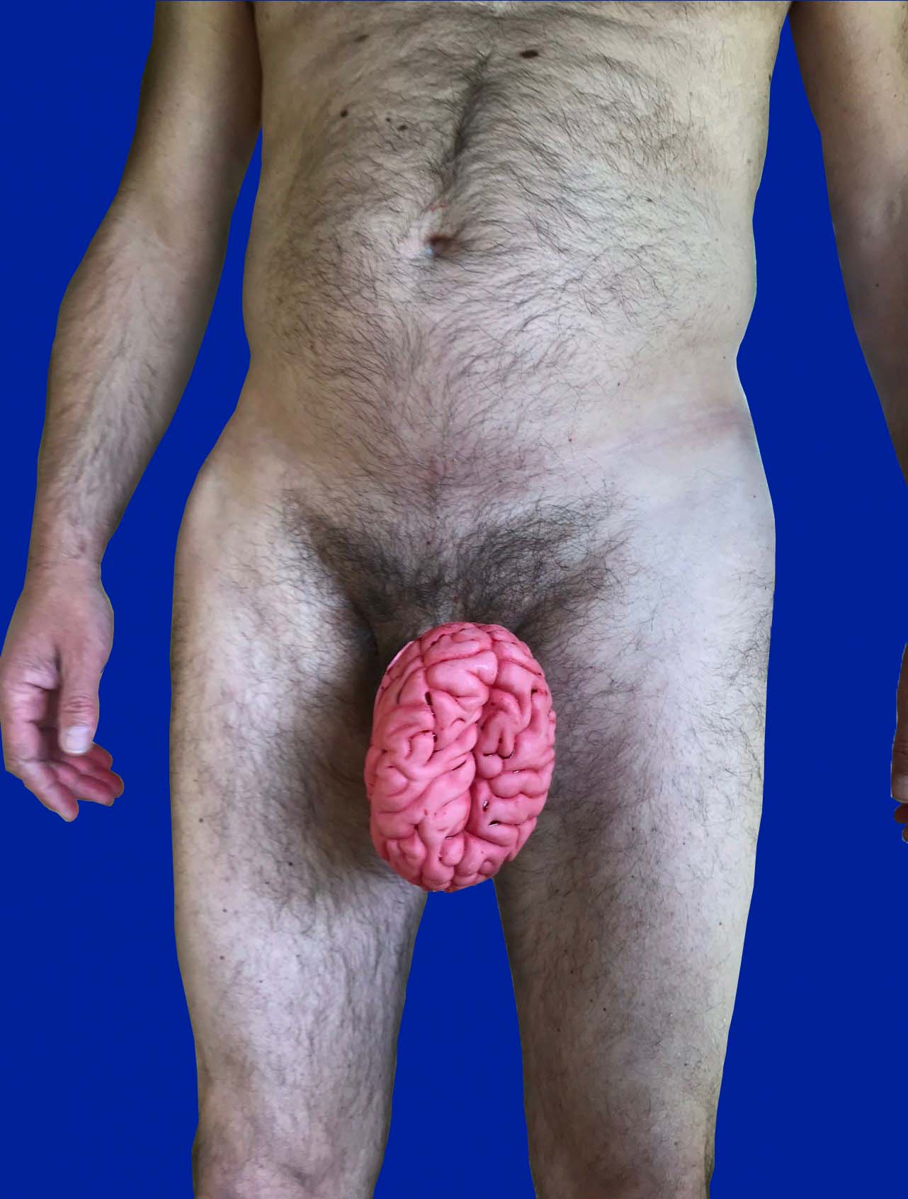 Cerf-veau, 2021, photographie encadrée 63 x 45,5 cm